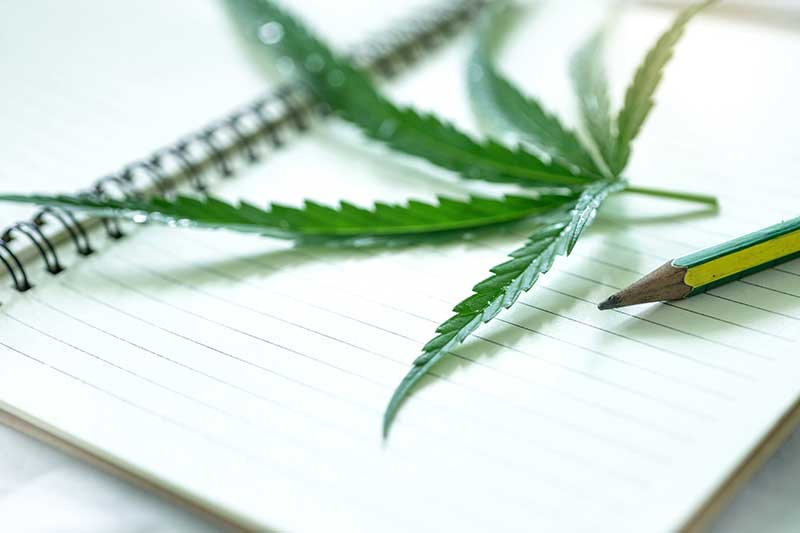 marijuana education and benefits