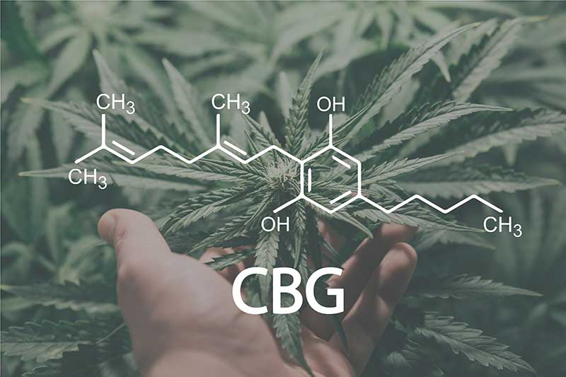 What is CBG?